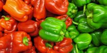 10 ПЛЮСОВ БОЛГАРИИ 10 ПЛЮСОВ БОЛГАРИИ